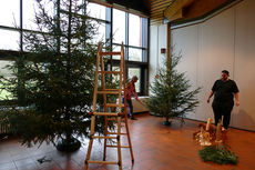 Es weihnachtet in St. Crescentius (Foto: Karl-Franz Thiede)